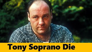 The Sopranos Ending Explained Did Tony Die [upl. by Dachia]