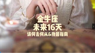 金牛座，未来16天，该何去何从amp挽回指南 [upl. by Trinee]