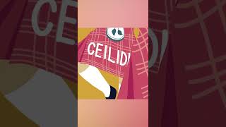 Learn Scottish Gaelic words and phrases shorts [upl. by Kehsihba]