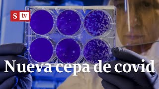 Científicos buscan confirmar efectividad de vacuna en nueva cepa de covid19  Videos Semana [upl. by Barbara]