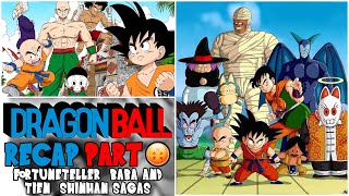 Dragon Ball  FORTUNETELLER BABA amp TIEN SHINHAN SAGA Recap  History of Dragon Ball [upl. by Nike]