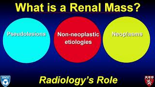 Renal Mass Imaging Bosniak Update 2019 [upl. by Eanod]