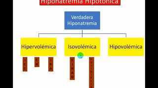 HIPONATREMIA E HIPERNATREMIA [upl. by Ringo201]