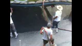 Black Diamond Brite Plaster on Gunite Pool by Affordable Pools [upl. by Ennazzus]