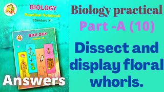 Dissect and display floral whorls biology practical class 12 experiment 10 part A answers [upl. by Uno13]