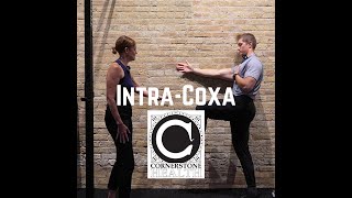 IntraCoxa Physical Therapy Hip Exercises with Liz and JP [upl. by Nikaniki]