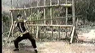 Wing Tsun Chun Leung Ting Authentic Wing Tsun 4 [upl. by Ellenrahs215]