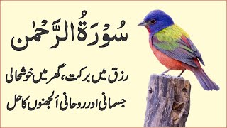 Surah Rahman Beautiful Recitation  Surah AR Rehman Tilawat  سورۃ رحمن  Trimedia Ep2105 [upl. by Naut]