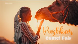 Pushkar Camel Fair 🐪  Unfiltered Vlog of Rajasthan’s Biggest Cultural Festival [upl. by Dow]