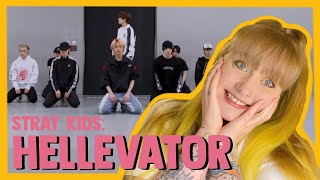 reaction to Stray Kids quotHellevatorquot Dance Practice Video ♡ Stray Kids 5th Anniversary with STAY ♡ [upl. by Kcirret]