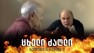 ცხელი ძაღლი  სეზონი 2 სერია 3 [upl. by Plotkin]