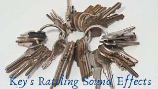 Keys Rattling Sound Effects  Jingling Keys Sound Effect  Shaking Keys Sound  Key Sound Effects [upl. by Dumanian]