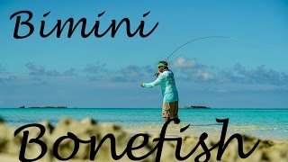 S1 Ep 5 Bimini Bahamas bonefish sharks stingrays and the Sapona wreck [upl. by Raynell764]