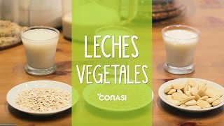 Leches vegetales con Versapers  ¿Cómo se hacen [upl. by Roze537]