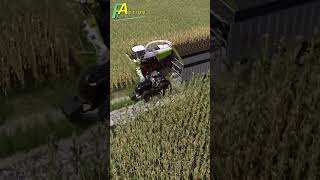 Mais häckseln LS22 FarmingSimulator22 NFMarsch4fach ClaasJaguar [upl. by Guglielma769]