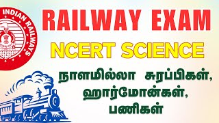 RRB NCERT SCIENCE TAMIL  ENDOCRINE SYSTEM  RRB NEW VACANCY 2024 [upl. by Lahsiv]