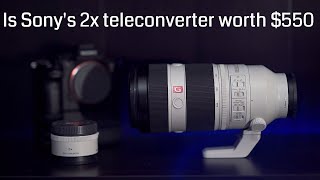 A comprehensive review of sonys 100400 gmaster lens and 2x teleconvertor [upl. by Karisa62]