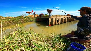 O cardume estava tudo na boca do bueiro Pesca de varinha de mÃ£o [upl. by Halford]