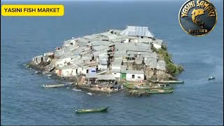 THE HISTORY OF NILE PERCH FISH FROM LAKE VICTORIA ACROSS TANZANIAKENYA AND UGANDA [upl. by Marni394]