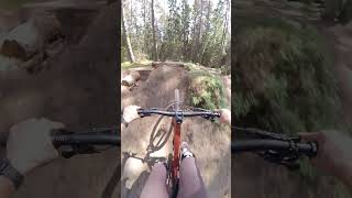 A small forest MTB gap jump [upl. by Valenba]