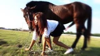 My Sister training care horse in beginner [upl. by Auqenes]