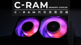 ALSEYE  CRAM Computer Memory Cooler，Bring Better Cooling Effect [upl. by Costanzia]