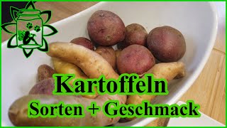 Kartoffel Sorten und Geschmack  Eigene Kartoffel Sortenempfehlung  Wie schmecken blaue Kartoffel [upl. by Soloman]