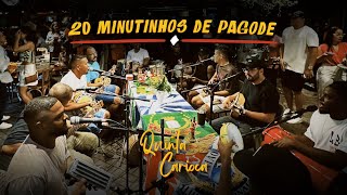 20 MINUTINHOS DE PAGODE ORIGINAL SEM AGROTÓXICOS 🤪😜 [upl. by Retseh]