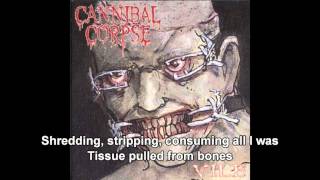 Devoured by Vermin  Cannibal Corpse [upl. by Dulcinea]