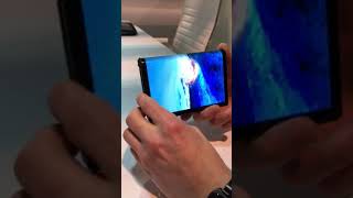 【CES2019】Royoleの折りたたみスマホ「FlexPai」 [upl. by Grenier]