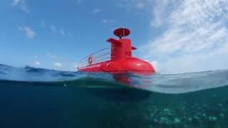 Semi Submarine on Kuramathi Maldives [upl. by Lahcym]