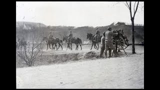 War on the Eastern Front 1915 [upl. by Saturday446]