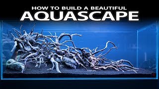 HOW TO BUILD A BEAUTIFUL AQUASCAPE EASILY  INSPIRATION HARDSCAPE LAYOUT [upl. by Rekab]