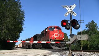 CN Freight Train  264th Avenue [upl. by Hilbert772]