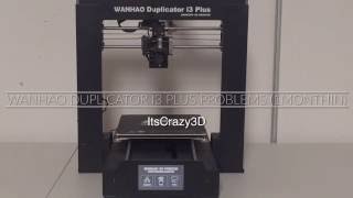 WANHAO Duplicator i3 Plus Problems 1MonthIn [upl. by Karab282]