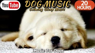 강아지가 좋아하는 음악🐶💖강아지 수면 음악 20시간🐶🎵강아지 분리불안 amp 스트레스 완화🎵집에 혼자있는 강아지를 위한 음악🎵외출할때 출근할때 꼭 틀어주세요 by 힐링메이트 [upl. by Sela643]