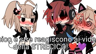 Cico e Stre reagiscono ai video della strecico❤️💜 [upl. by Susanne]