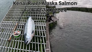 Fishing for salmon on Kenai river Alaska 7172024 [upl. by Ayama]