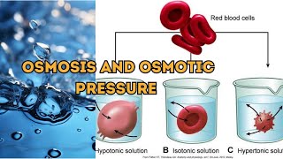 Osmosis  Osmotic pressure or oncotic pressure  Osmosis OsmoticPressure Science [upl. by Otipaga27]