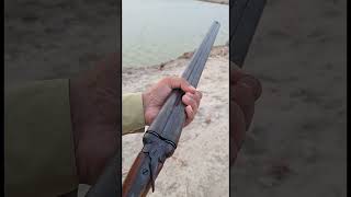 double barrel shotgun review shotgun hunting safetyfirst safe shorts [upl. by Ayinat]