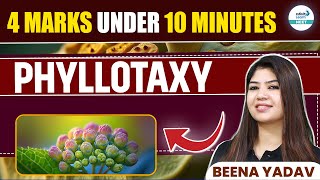 What is Phyllotaxy Quick amp Simple Explanation  NEET 2025  Class 11 Botany  infinitylearnNEET [upl. by Wertheimer]