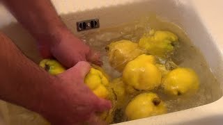 Comment faire de la gelée de coings  Quince jelly [upl. by Asiuqram]