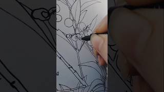 Ligustrum vulgare art botanicalart artist drawing sketch markers sketchbook natureart ink [upl. by Aliel]