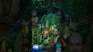 செவ்வாய்க்கிழமை இதை செய்யுங்கள் வெற்றி உறுதி murugan tiruchendur murugantemple shortstamil pooj [upl. by Ocram]