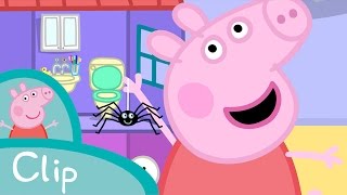 Peppa  La araña clip [upl. by Halfon]