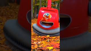 Henry the Hoover cleans up the leaves 🍂🍂🍂 [upl. by Monti]