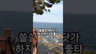 쓸쓸한 노래하면 바로 이노래이죠 양현경 [upl. by Tracee]