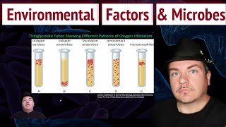 Environmental Factors That Influence Microbes [upl. by Rhys]