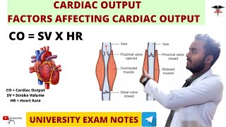 Cardiac Output  Factors Affecting Cardiac Output  CVS Physiology [upl. by Oiracam]