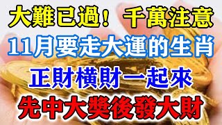 大難已過！千萬註意！11月要走大運的生肖，正財橫財一起來，先中大獎後發大財！運勢 風水 佛教 生肖 发财 横财 【佛之緣】 [upl. by Glory]